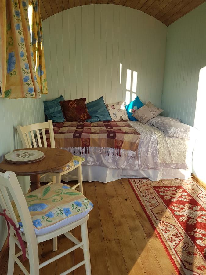 Shepherds Hut Dolly Wagon Keswick  Exterior photo